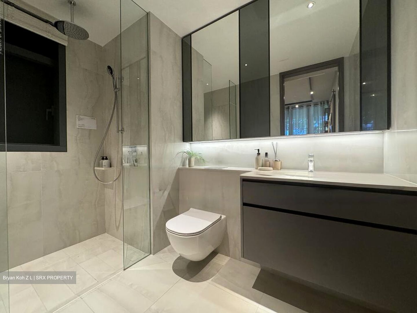 Treasure Crest (D19), Condominium #477819311